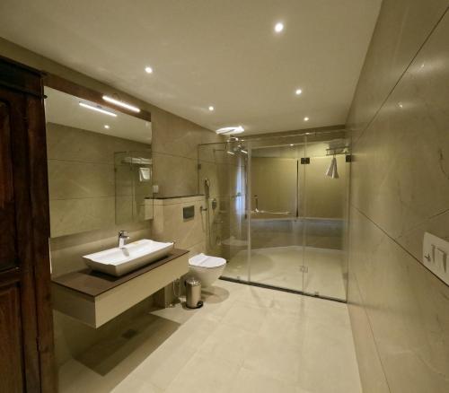 比卡内尔Hotel Chandra Raj Mahal的带淋浴、盥洗盆和卫生间的浴室