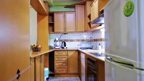 斯科普里Spacious and quiet apartment的厨房配有木制橱柜和白色冰箱。