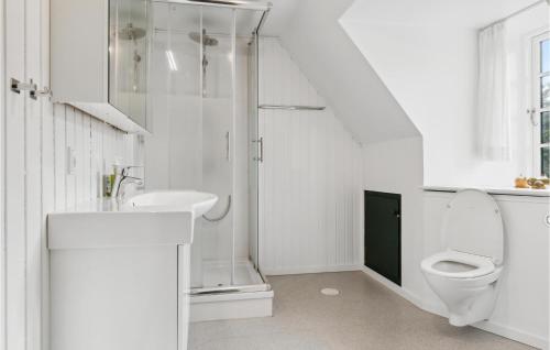 罗莫柯克比Lake Front Home In Rm With Wifi的白色的浴室设有卫生间和水槽。