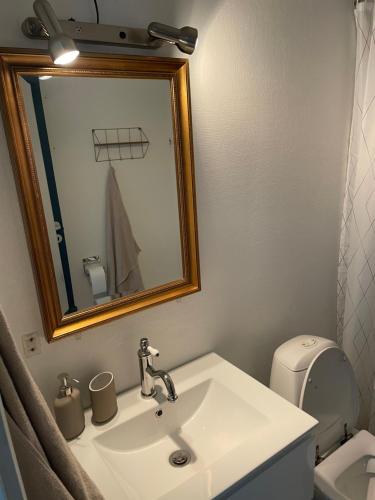 奥本罗Hotel Vin & Gastro的一间带水槽、镜子和卫生间的浴室