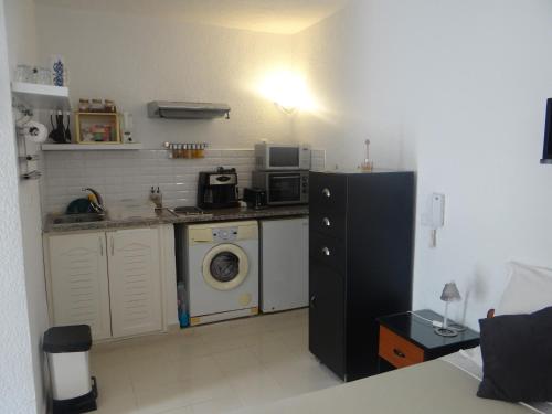 迦太基STUDIO AU COEUR de CARTHAGE HANNIBAL的厨房配有冰箱和洗衣机。