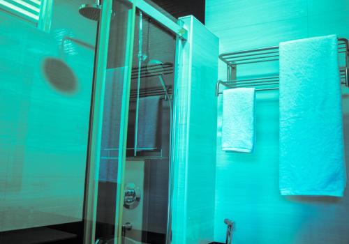 马米基里Maaniya Palace的浴室设有玻璃淋浴间和蓝色的墙壁