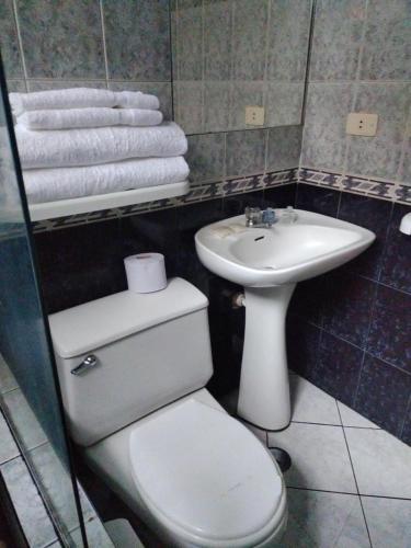 ZamacolaHouse garden airport的浴室配有卫生间、水槽和毛巾。