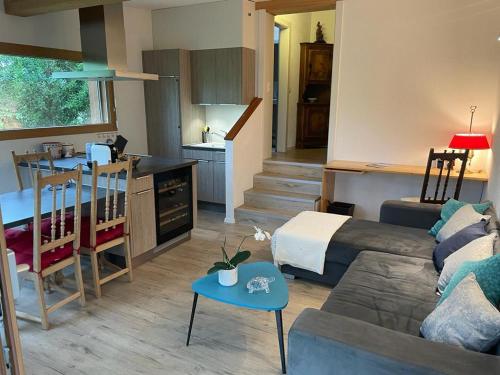 莱森Chalet d'Ayral avec jardin privatif的带沙发的客厅和厨房
