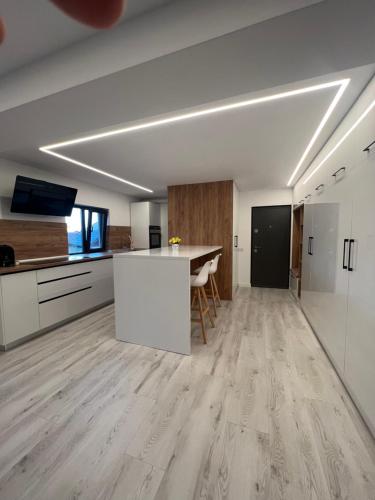 特尔戈维什泰MODERN PREMIUM APARTMENT 1的开放式厨房和铺有木地板的客厅