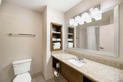 卡尔斯巴德Quality Inn & Suites Carlsbad Caverns Area的一间带卫生间、水槽和镜子的浴室