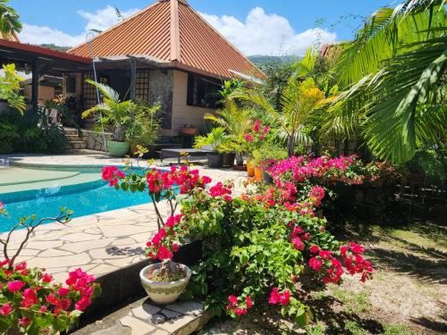 普纳奥亚Fare Cocoon的一座鲜花粉色的房子和一个游泳池