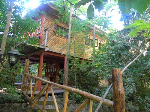 洛斯安赫莱斯El Rincon Eco Hotel的森林中的一个树屋