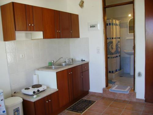 PanteliStudios Happiness的一个带水槽和淋浴的小厨房