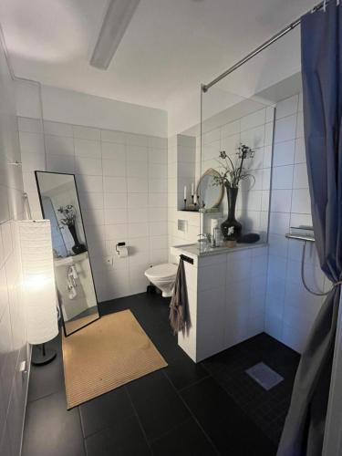 EkebySpirit Bed & Breakfast的一间带卫生间和镜子的浴室
