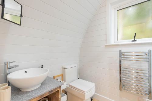 RamsdenThe Plough Inn Cabins的一间带水槽和卫生间的浴室
