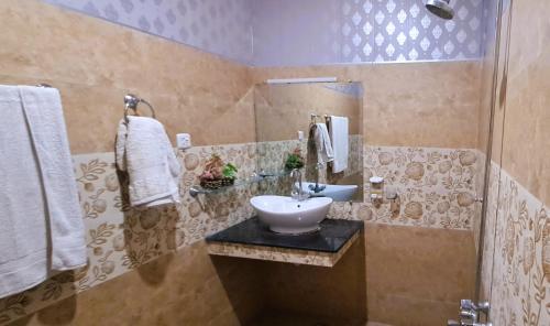 伊斯兰堡Islamabad 430 B&B Hotel的一间带水槽和淋浴的浴室