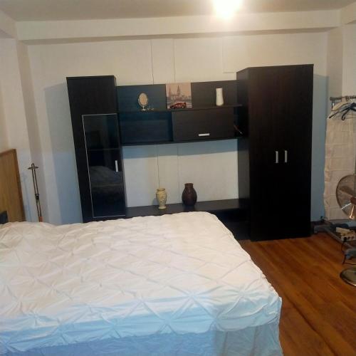 布加勒斯特Vila ELENA Ap 1的卧室配有白色的床和黑色橱柜。