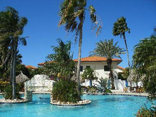 威廉斯塔德Club Seru Coral的棕榈树和游泳池的房子