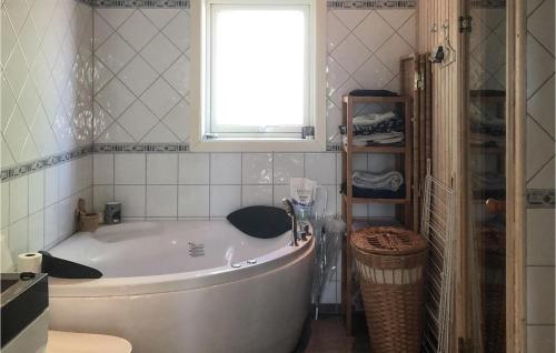 艾尔夫达伦Stunning Home In lvdalen With Sauna的带浴缸的浴室和窗户