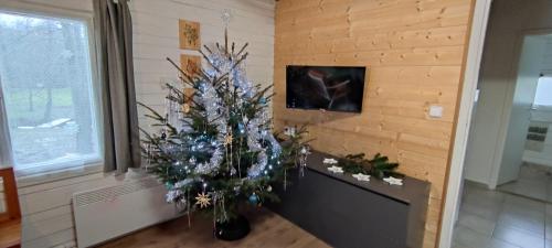 Olešnice v Orlických horáchChatky u potoka - chatička č.2的房间的角落处的圣诞树