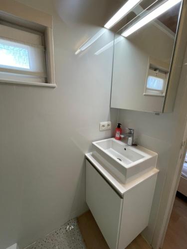 米德尔克尔克Chalet n°32的浴室设有白色水槽和镜子