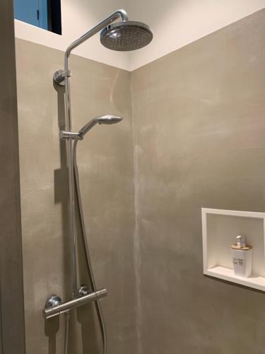 ZeleDe Moeraseik的浴室内配有淋浴和头顶淋浴