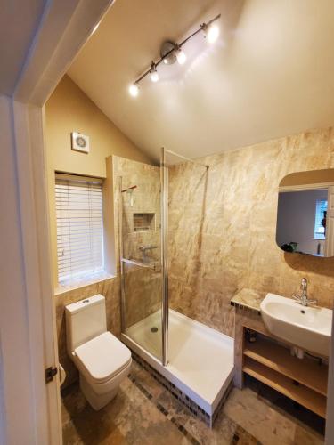 海斯廷斯5 bedroom, recently renovated house close to Hastings Beach的浴室配有卫生间、淋浴和盥洗盆。