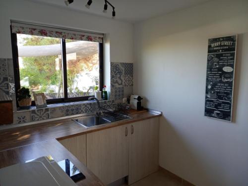 普拉亚布兰卡Ocean View的厨房设有水槽和窗户。