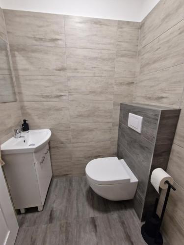 伊钦Apartmán Anežka 3 s vířivou vanou的浴室配有白色卫生间和盥洗盆。