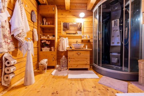 卡罗维发利Roubenka Bruno的小木屋内的浴室设有水槽和淋浴