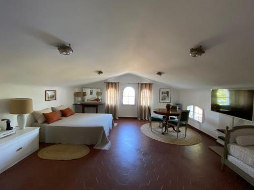 卡尔卡托吉奥Villa les Palmiers的一间卧室配有一张床、一张书桌和一台电视。