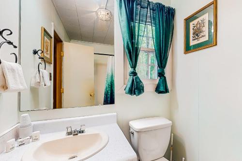 克莱顿White Pine Perch的一间带水槽、卫生间和镜子的浴室
