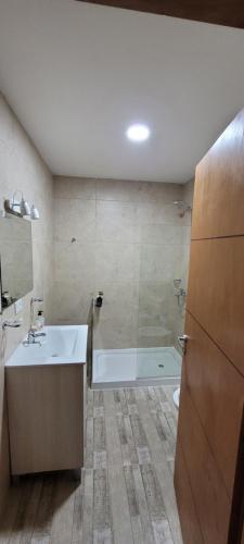 乌斯怀亚Lalúan departamento temporario的带浴缸、水槽和淋浴的浴室