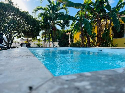 威廉斯塔德Bon Bini Kokolishi的一座种植了棕榈树的蓝色游泳池