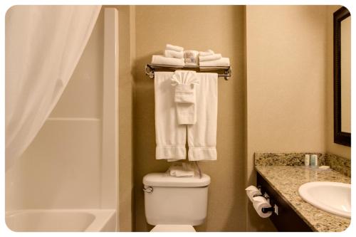 艾尔德里康福特旅馆及套房- 艾尔德里的浴室配有卫生间、水槽和毛巾。