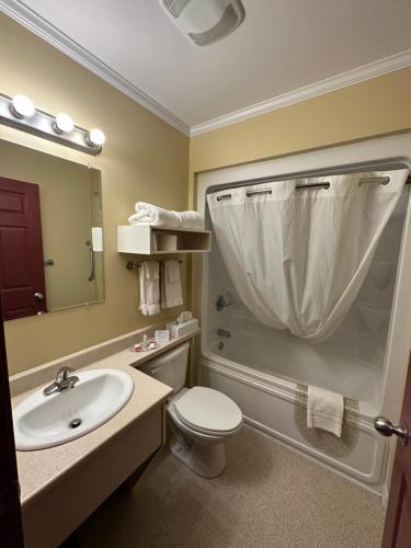WaasisTravellers Inn Fredericton NB的一间带水槽、卫生间和淋浴的浴室