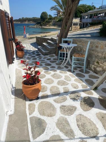 阿莫利亚尼岛IRENE traditional apartments的庭院配有两把椅子和一张桌子,种有鲜花