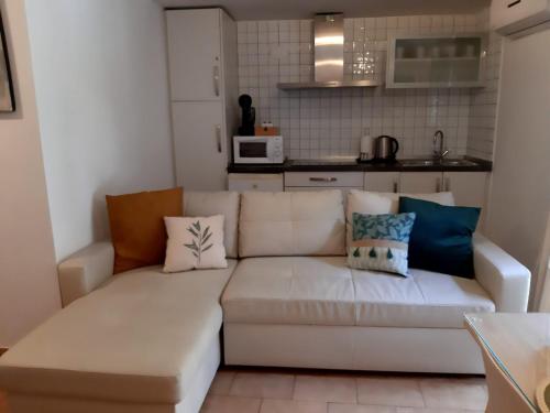 塞特尼尔Casa Bajo la Roca的客厅配有白色沙发及枕头