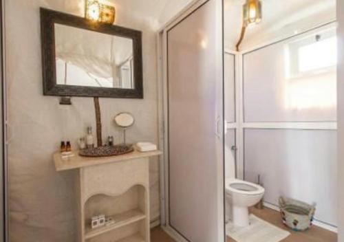 梅尔祖卡Fantastic Luxury Camp的带淋浴、卫生间和镜子的浴室