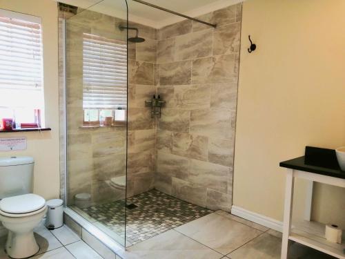 阿多Adrenalin Addo Manor House的浴室设有玻璃淋浴间和卫生间