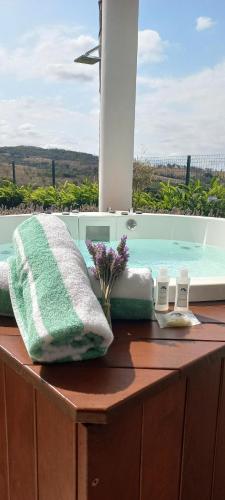 圣若昂-巴蒂斯塔-杜格罗里亚Pousada Vila Craton Canastra的配有毛巾的浴缸和游泳池