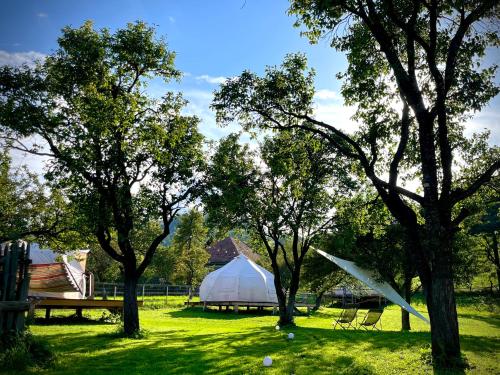 布朗Flore's Garden Glamping的树木繁茂的田野上的大型白色帐篷
