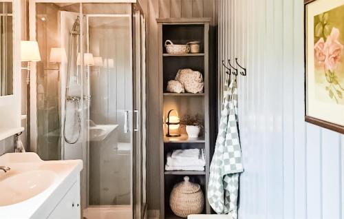 赫讷福斯Lovely Home In Hnefoss With House A Panoramic View的带淋浴和盥洗盆的浴室