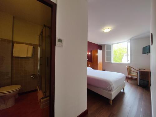 图卢兹Hôtel Riquet的一间卧室配有一张床,浴室设有卫生间