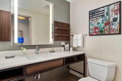 新奥尔良新奥尔良法国区/中央商圈希尔顿花园酒店的一间带水槽、卫生间和镜子的浴室