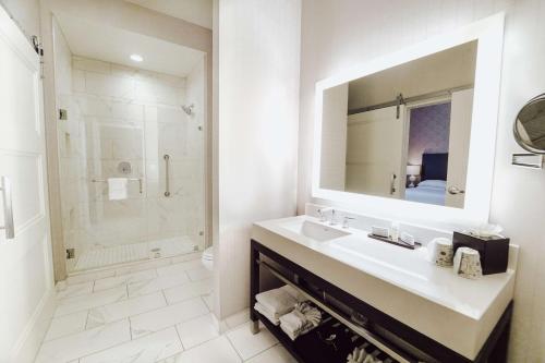 路易斯威尔路易维尔市中心希尔顿合博套房酒店的一间带水槽、镜子和淋浴的浴室