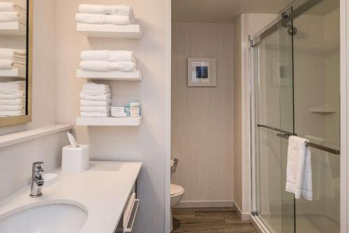 ParagouldHampton Inn - Paragould的浴室配有盥洗盆、淋浴和毛巾