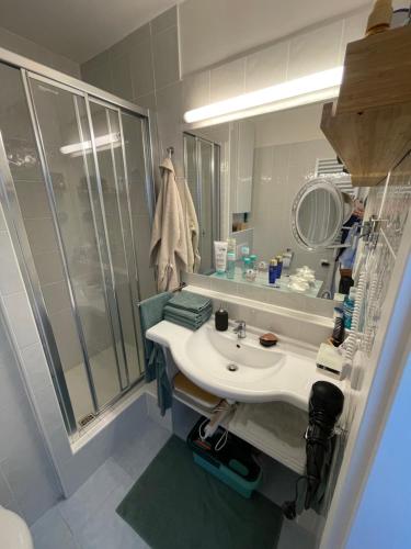 布拉格DE LUXE Apartment, WIFI, TV 65"的一间带水槽和淋浴的浴室