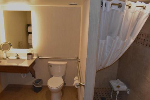 海伦娜海伦娜假日酒店的浴室配有卫生间、盥洗盆和淋浴。