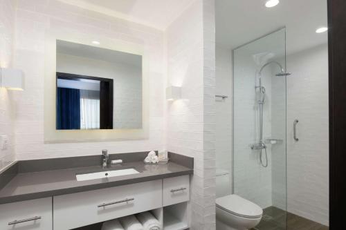 圣多明各Homewood Suites By Hilton Santo Domingo的浴室配有卫生间、盥洗盆和淋浴。
