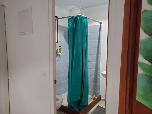 HauruFare Mihiau 2的一间带蓝色淋浴帘的淋浴的浴室