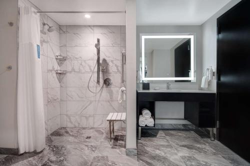 阿尔法利塔Embassy Suites By Hilton Alpharetta Halcyon的带淋浴、盥洗盆和镜子的浴室