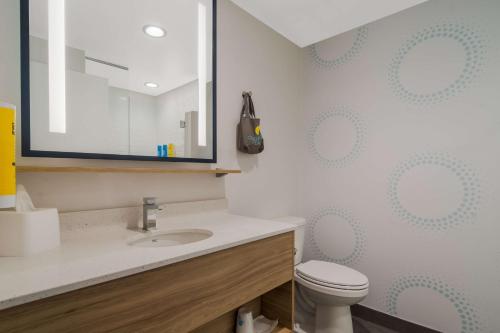 威尔森Tru By Hilton Wilson的一间带水槽、卫生间和镜子的浴室