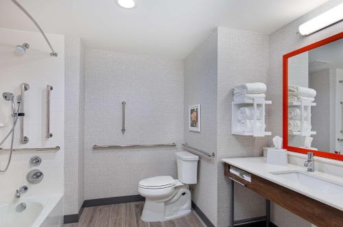 AlbertvilleHampton Inn Albertville, Al的浴室配有卫生间、盥洗盆和淋浴。